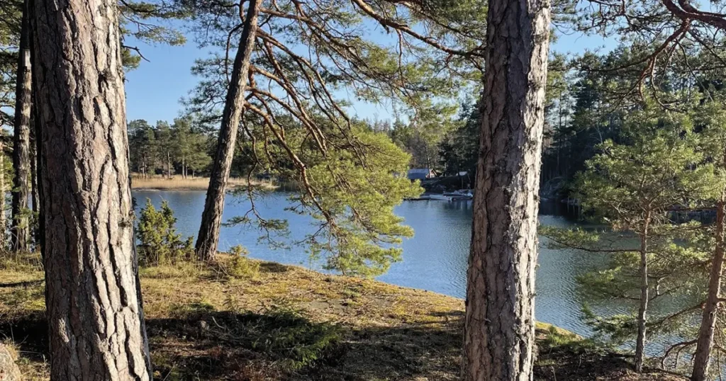 Mastberget maisema.