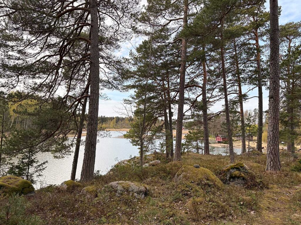 Söderbyviken.